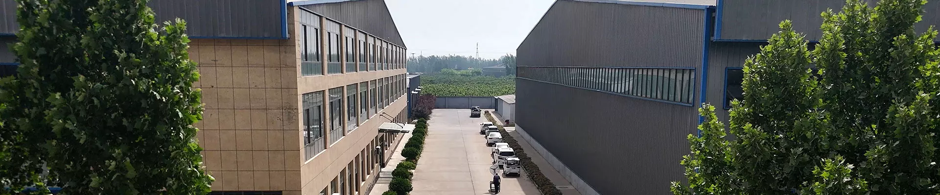 Txog Peb
